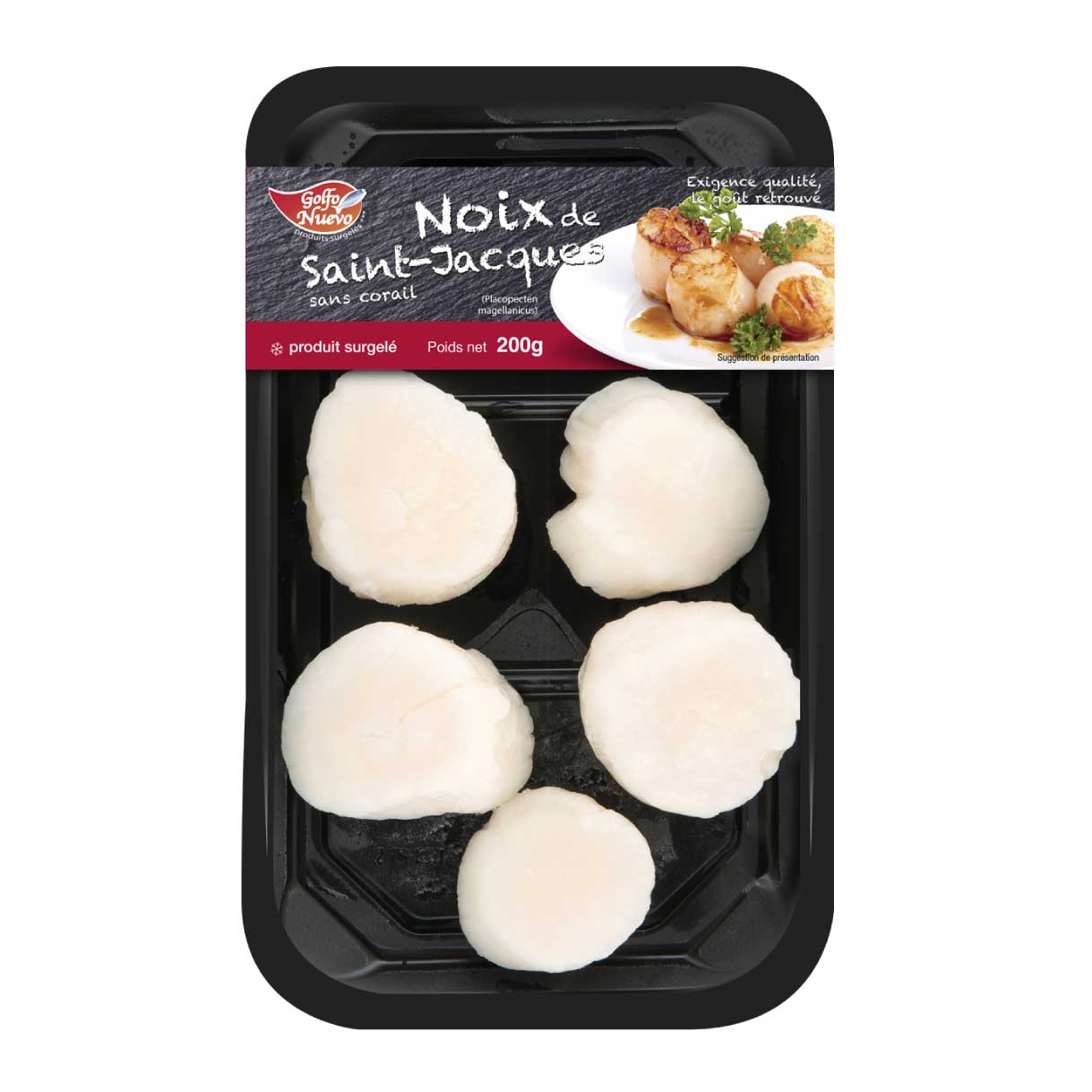 Noix De Saint Jacques ⋆ Produits Surgelés - Golfo Gourmet